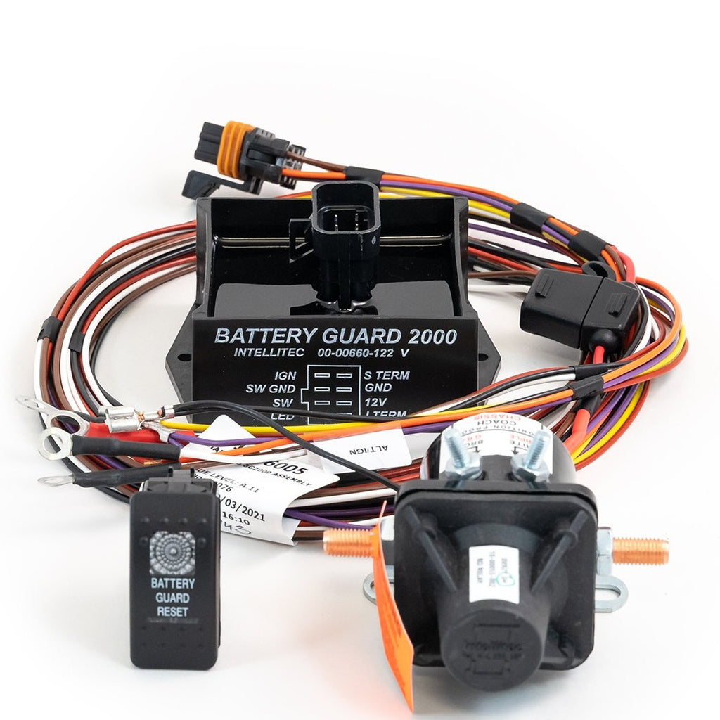 Battery Guard 2000 100A 12V by Intellitec